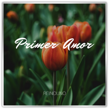 Primer Amor